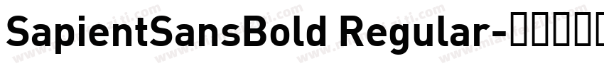 SapientSansBold Regular字体转换